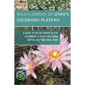 WILDFLOWERS OF UTS CO. PLATEAU