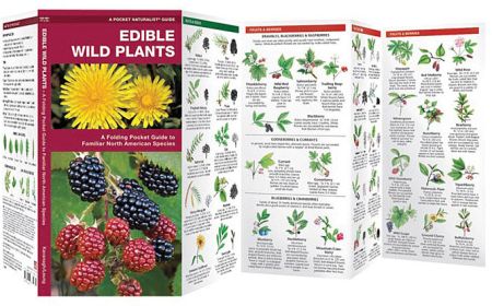 EDIBLE WILD PLANTS BOOK - JAMES KAVANAGH