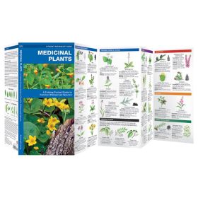 MEDICINAL PLANTS - JAMES KAVANAGH