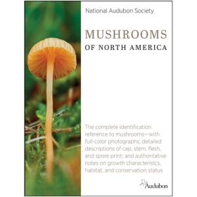AUDBN MUSHROOMS NA