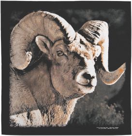 BIGHORN BANDANA