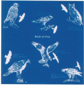 BIRDS OF PREY BANDANA