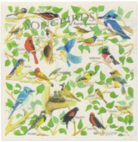 SONGBIRDS BANDANA