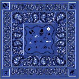 PAISLEY TRACKS