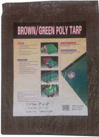 REVERSIBLE BRN/GRN TARP 6X8