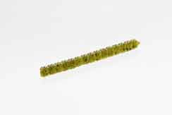 Zoom Centipede 4in 20/bag Watermelon Red