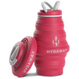 WATER BOTTLE RASPBERRY 17 OZ