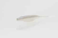 Zoom Super Fluke Jr 4in 10/bag Albino