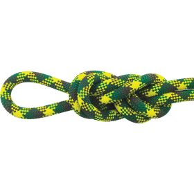 APEX 9.9MMX70M IVY DRY