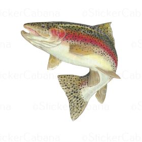 RAINBOW TROUT FISH SM STCK