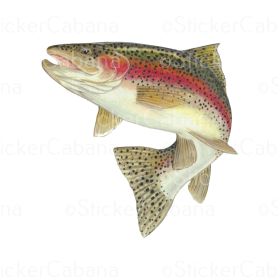 RAINBOW TROUT FISH 3" MAG