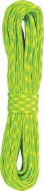 PARACORD 100 FT DAYGLOW