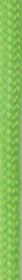 PARACORD 1000 FT NEON GREEN