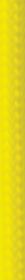 PARACORD 1000 FT NEON YELLOW
