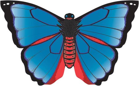 BUTTERFLYS - KARNER BLUE