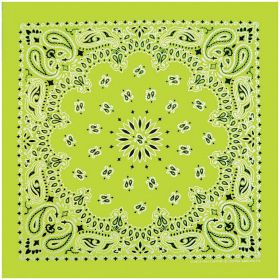 NEON PAISLEY BANDANA GREEN