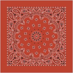 BANDANA PAISLEY TERRACOTTA