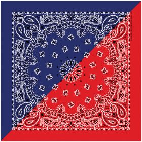 SPLIT PAISLEY NAVY/RED