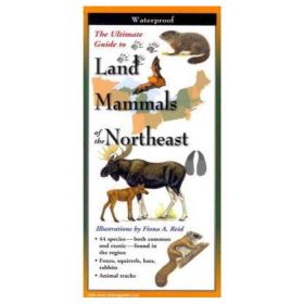 LAND MAMMALS OF THE NORTHEAST - FIONA A. REID
