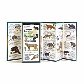 LAND MAMMALS OF THE SOUTHEAST - FIONA A. REID