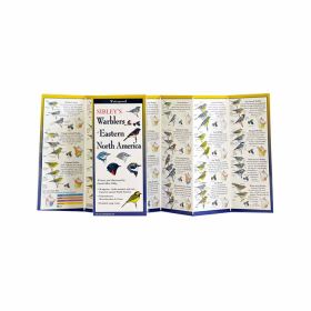 SIBLEY'S WARBLERS OF EAST NA - DAVID ALLEN SIBLEY