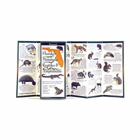 FLORIDA'S MAMMALS, REP & AMPHI - FIONA A. REID