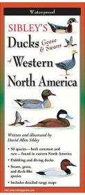 SIBLEY'S DUCKS GEESE SWAN WEST - DAVID ALLEN SIBLEY