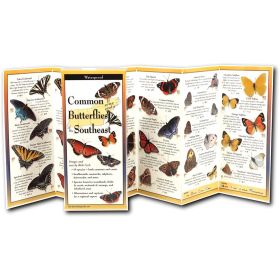 BUTTERFLIES SOUTHEAST GUIDE - RICH CECH