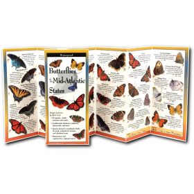 BUTTERFLIES MID-ATLAN GUIDE - RICK CECH