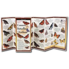 BUTTERFLIES NORTHEAST GUIDE - RICK CECH
