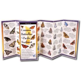 BUTTERFLIES NORTHWEST GUIDE - RICK CECH