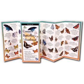 BUTTERFLIES SOUTHWEST GUIDE - RICK CECH