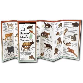 MAMMALS OF NORTHWEST GUIDE - FIONA REID