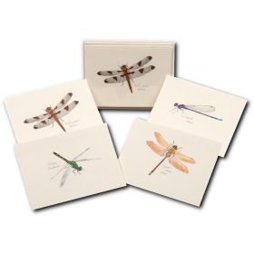 DRAGONFLY NOTECARDS