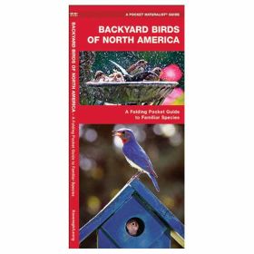 BACKYARD BIRDS: NA - JAMES KAVANAGH
