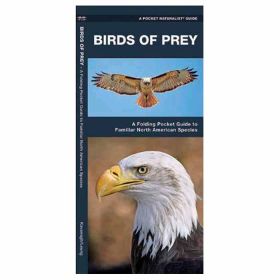 BIRDS OF PREY - JAMES KAVANAGH