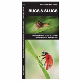 BUGS AND SLUGS - JAMES KAVANAGH