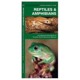 REPTILES/AMPHIBIANS - JAMES KAVANAGH