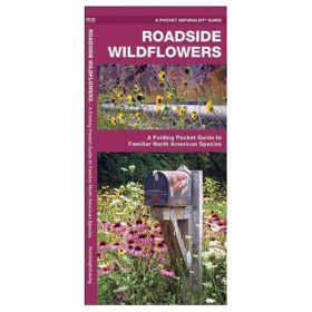 ROADSIDE WILDFLOWERS - JAMES KAVANAGH