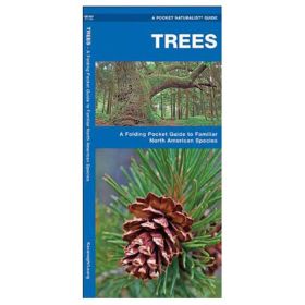 TREES - JAMES KAVANAGH