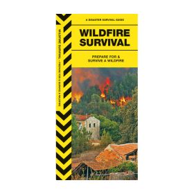 WILDFIRE SURVIVAL - JAMES KAVANAGH