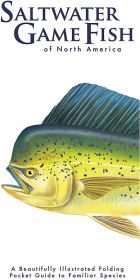 SALTWATER GAME FISH