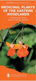 MEDICINAL PLANTS EAST WOODLAND - DAVE CANTERBURY