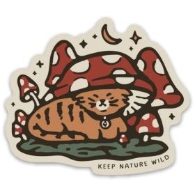 TOADSTOOL TABBY
