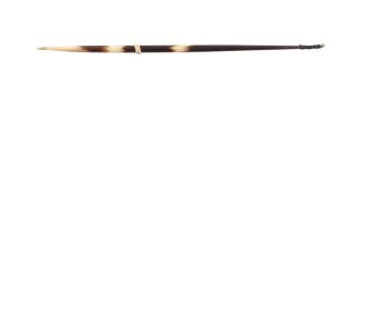 H&H Porqupine Quills 9" 12ct