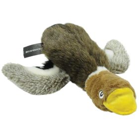 WILDLIFE CRITTERS MALLARD DUCK