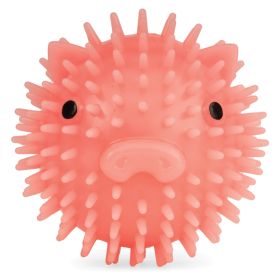PIGGY DOG BALL
