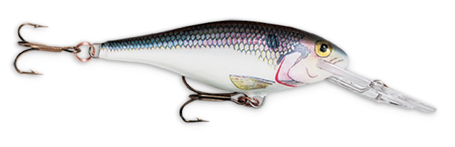 Rapala Shad Rap 2 3/4" 1/4 Shad
