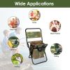 LakeForest Folding Fishing Chair, Backrest and Cooler Bag