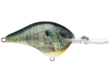 Rapala DT12 Balsa Crankbait, 2.25 in, 3/5 oz, Dives to 12 ft